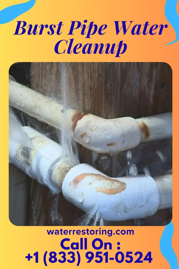 Burst Pipe Water Cleanup in Sims, IN